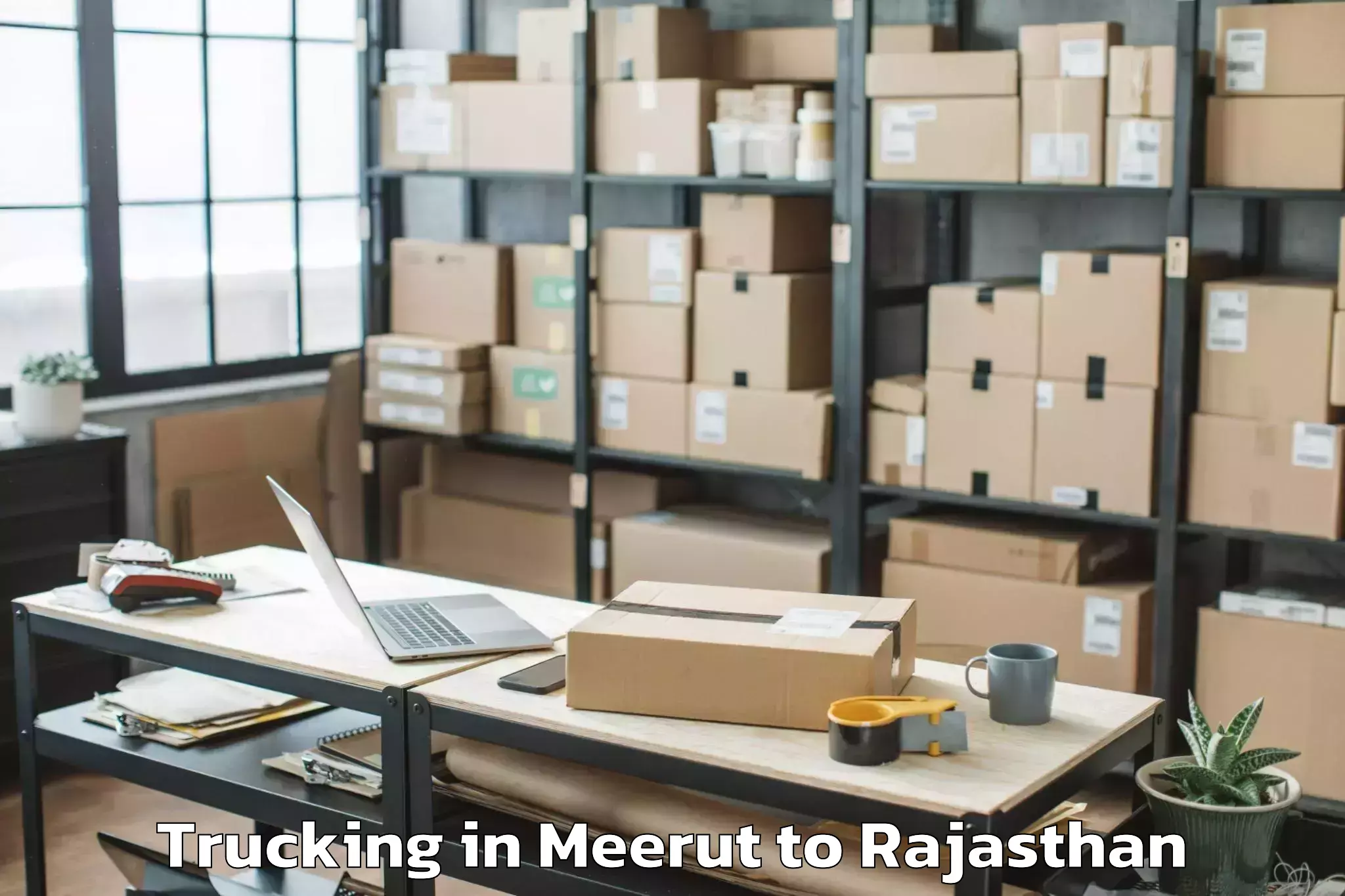 Top Meerut to Niit University Neemrana Trucking Available